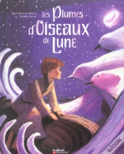 Capa do artigo Les Plumes D'Oiseaux De Lune