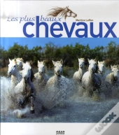 Les Plus Beaux Chevaux