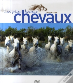 Capa do artigo Les Plus Beaux Chevaux