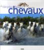 Les Plus Beaux Chevaux - Preview