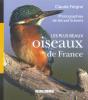 Les Plus Beaux Oiseaux De France - Preview