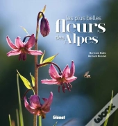 Les Plus Belles Fleurs Des Alpes