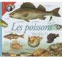 Les Poissons - Preview