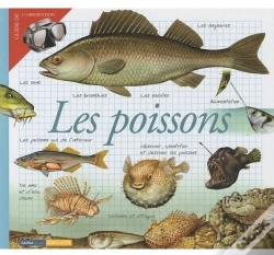 Capa do artigo Les Poissons