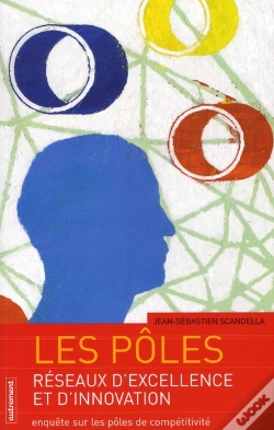 Capa do artigo Les Pôles, Réseaux D'Excellence Et D'Innovation ; Enquête Sur Les Pôles De Compétitivité