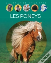 Capa do artigo Les Poneys