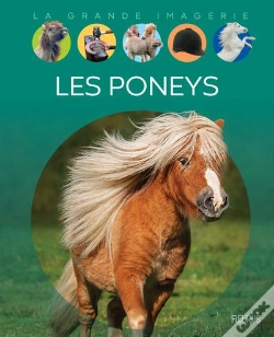 Capa do artigo Les Poneys