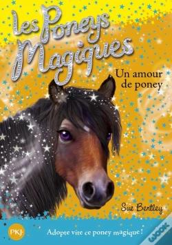 Capa do artigo Les Poneys Magiques N06 Riding Rescue