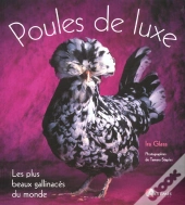 Les Poules De Luxe