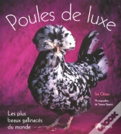 Capa do artigo Les Poules De Luxe