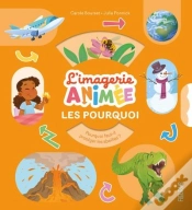 Capa do artigo Les Pourquoi