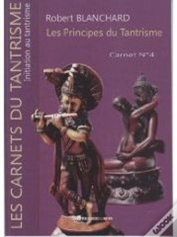 Capa do artigo Les Principes Du Tantrisme ; Carnet T.4