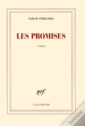Capa do artigo Les Promises