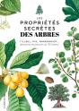 Les Propriétés Secrètes Des Arbres - Preview