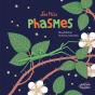 Les P'Tits Phasmes - Preview