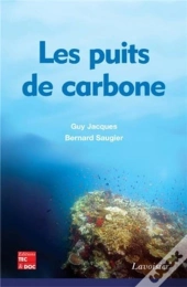Les Puits De Carbone