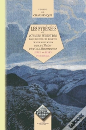 Les Pyrénées Ou Voyages Pédestres Tome 1 ; Bearn, Pays Basque