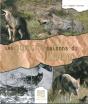 Les Quatres Saisons Du Loup - Preview