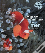 Capa do artigo Les Qui Sommes-Nous ? Les Petits D