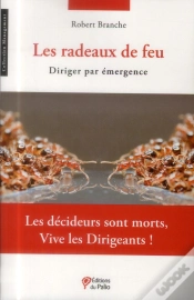 Capa do artigo Les Radeaux De Feu ; Diriger Par Émergence