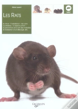 Capa do artigo Les Rats
