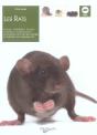 Les Rats - Preview