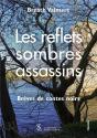 Les Reflets Sombres Assassins ; Brèves De Contes Noirs - Preview