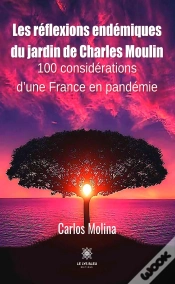 Capa do artigo Les Reflexions Endemiques Du Jardin De Charles Moulin - 100 Considerations D Une Franc