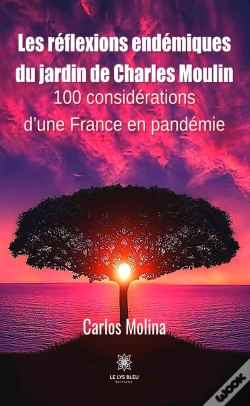 Capa do artigo Les Reflexions Endemiques Du Jardin De Charles Moulin - 100 Considerations D Une Franc
