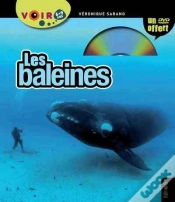 Capa do artigo Les Religions Orientales