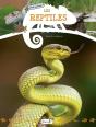 Les Reptiles - Preview