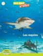 Les Requins - Preview