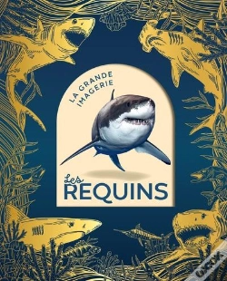 Capa do artigo Les Requins