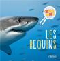 Les Requins - Preview