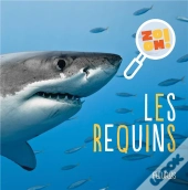 Les Requins