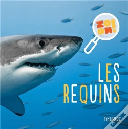 Capa do artigo Les Requins