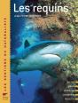 Les Requins - Preview