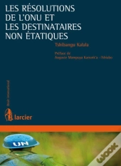 Les Résolutions De L'Onu Et Les Destinataires Non Étatiques