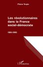 Les Révolutionnaires Dans La France Social-Démocrate, 1981-1995 - Preview