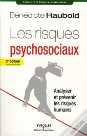 Les Risques Psychosociaux ; Analyser Et Prévenir Les Risques Humains (2e Édition)