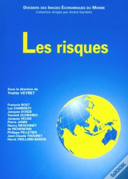Capa do artigo Les Risques