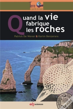 Capa do artigo Les Roches Issues  De La Vie