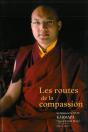 Les Routes De La Compassion - Preview