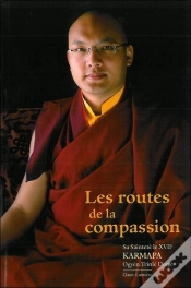Capa do artigo Les Routes De La Compassion