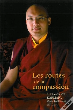 Capa do artigo Les Routes De La Compassion