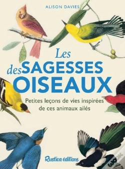 Capa do artigo Les Sagesses Des Oiseaux