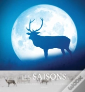 Les Saisons ; L'Hiver Durait Depuis 80 000 Ans
