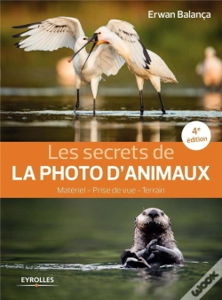 Capa do artigo Les Secrets De La Photo D'Animaux (4e Édition)