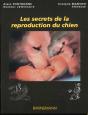 Les Secrets De La Reproduction Du Chien - Preview