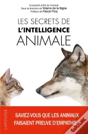 Les Secrets De L'Intelligence Animale
